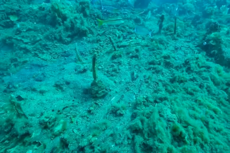 Possible Remains Of An Ancient Shipwreck