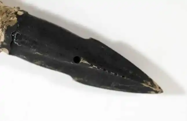 An Explosive Tipped Harpoon Commonly Used In 19th Century Whaling.