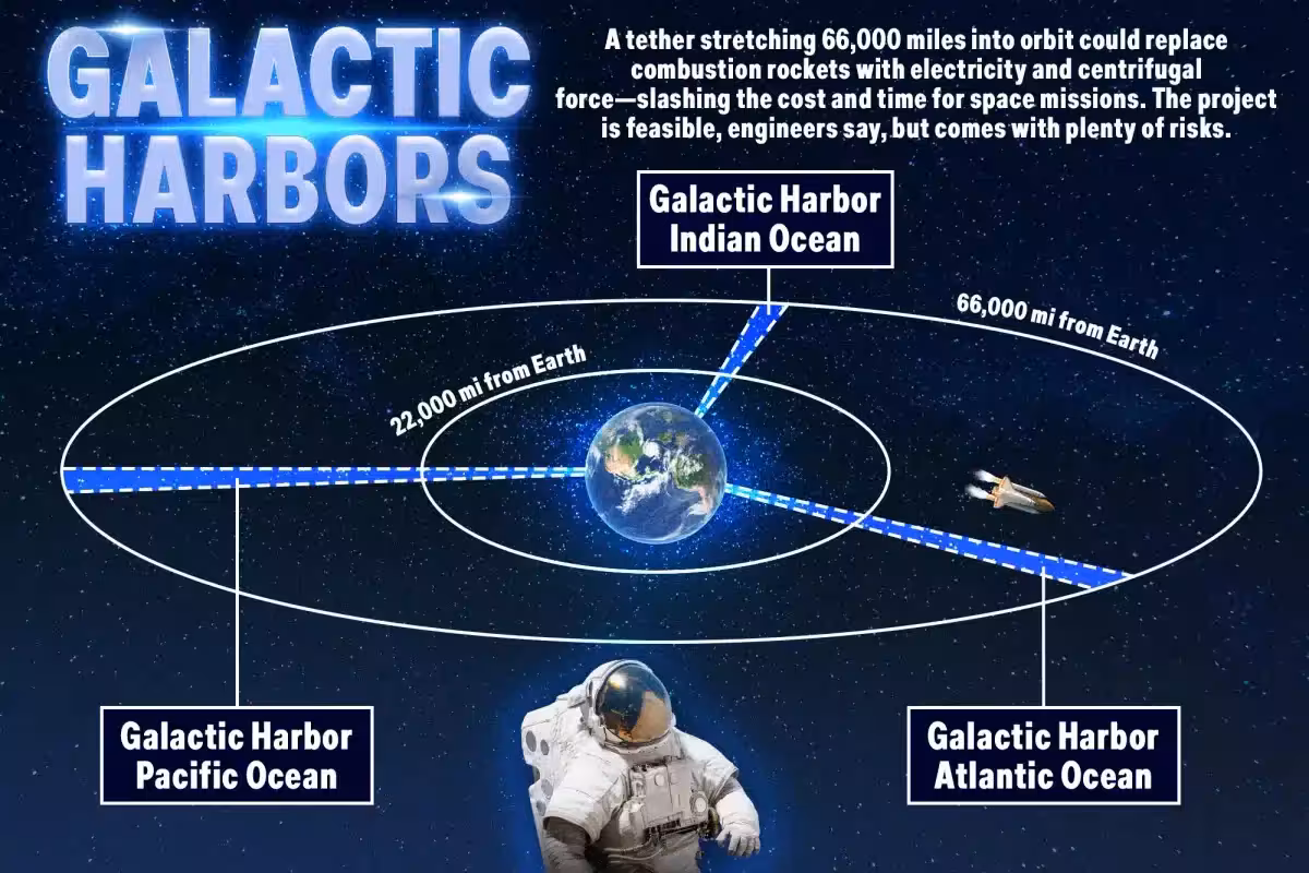 Galatic Harbors Infographic 139104626
