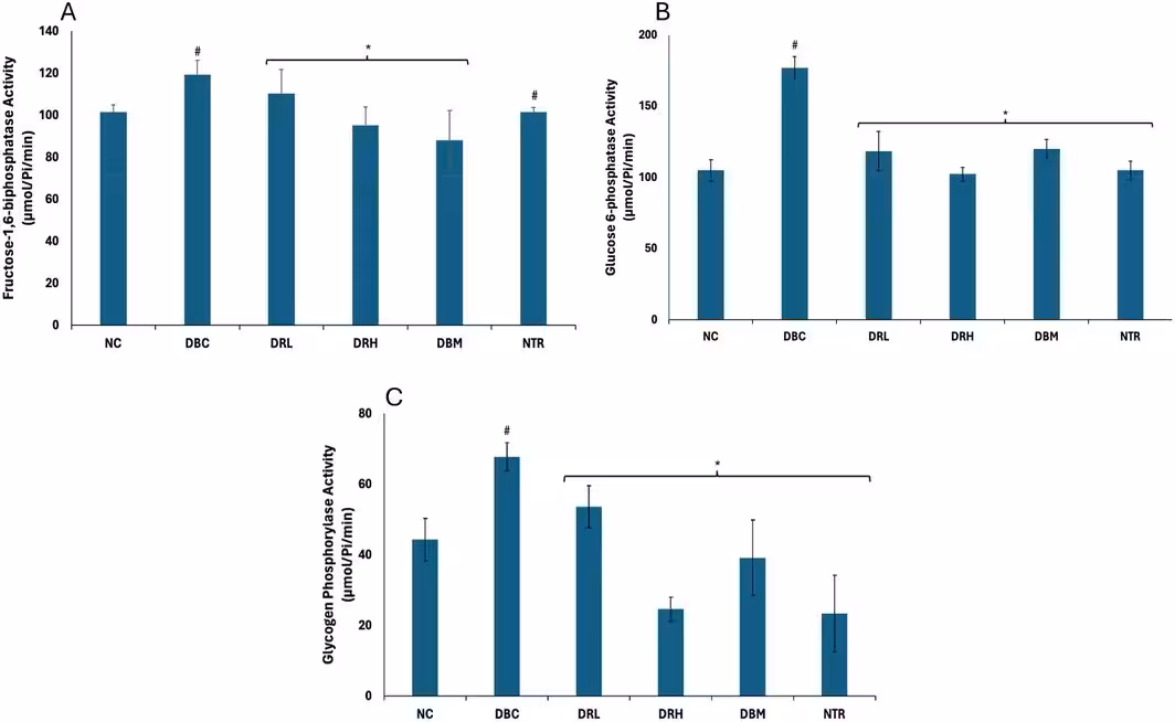 FIGURE 1: Effect of Gracilaria gracilis SPs on (A) fructose‐1,6‐biphosphatase, (B) glucose 6‐phosphatase, and (C) glycogen phosphorylase activities in hepatic tissues of T2D rats. Values = mean ± SD; n = 6. *Statistically significant (p < 0.05) to DBC; #statistically (p < 0.05) significant to NC. DBC, diabetic control; DRH, diabetic + G. gracilis SP (300 mg/kg); DRL, diabetic + G. gracilis SP (150 mg/kg); NC, normal control; NTR, normal rats + G gracilis SP.