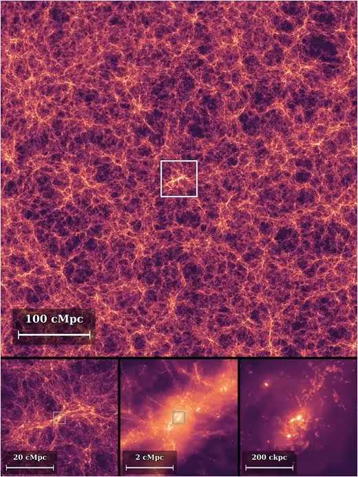 M Stag1469fig1