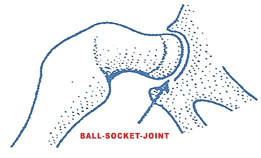 ball socket joint3