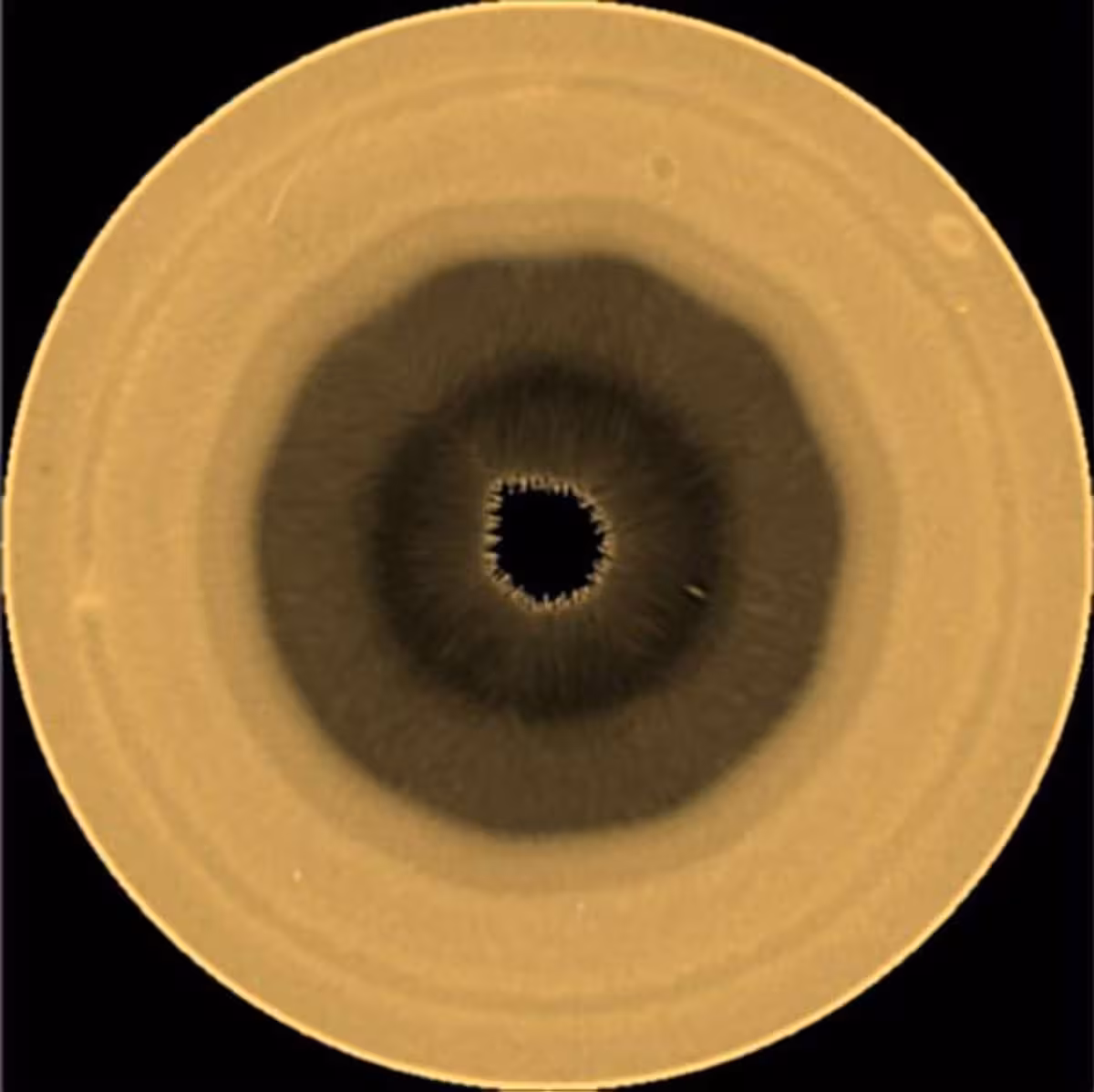 A 763 Nanometer Polar View Of Saturn’s Southern Hemisphere Captured By The Hubble Space Telescope.