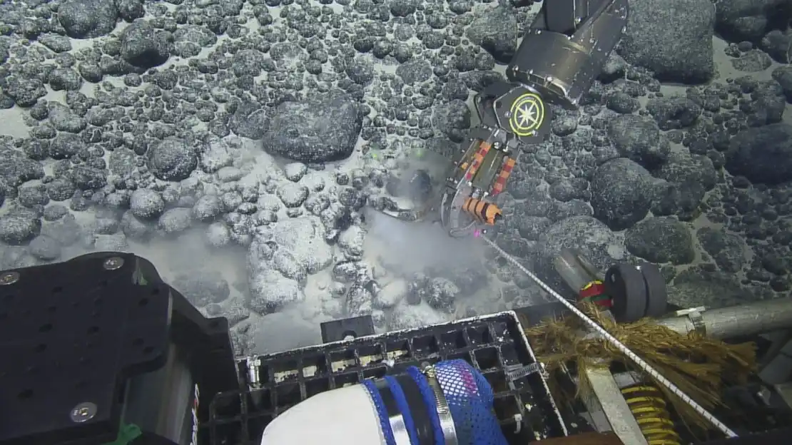 Rov Hercules Collects Samples From An Unexplored Pacific Seamount.