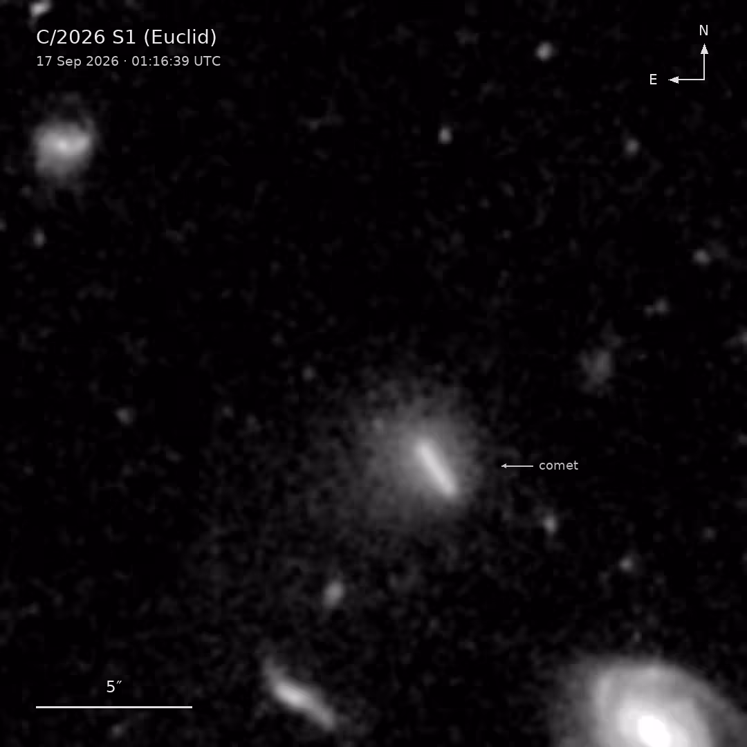 Three images captured by Euclid’s VIS camera on September 17, 2026, show the comet moving against a backdrop of stars and galaxies. Each 560-second exposure reveals a streak of light surrounded by a fuzzy cloud of gas and dust known as a coma.