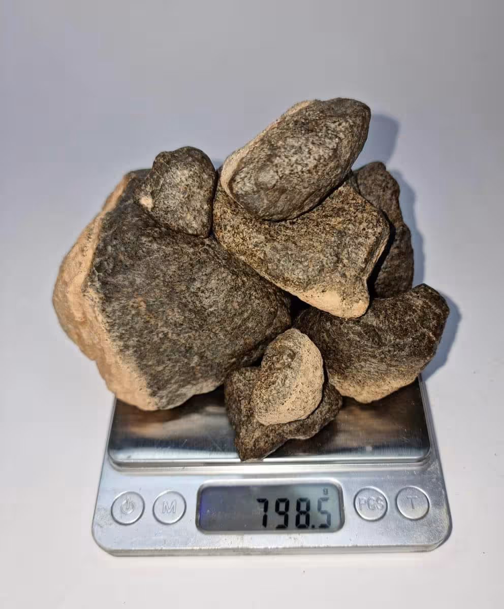 The Teghaza 001 Martian Meteorite Fragments, Weighing A Combined 798.5 Grams, Displayed On A Scale.