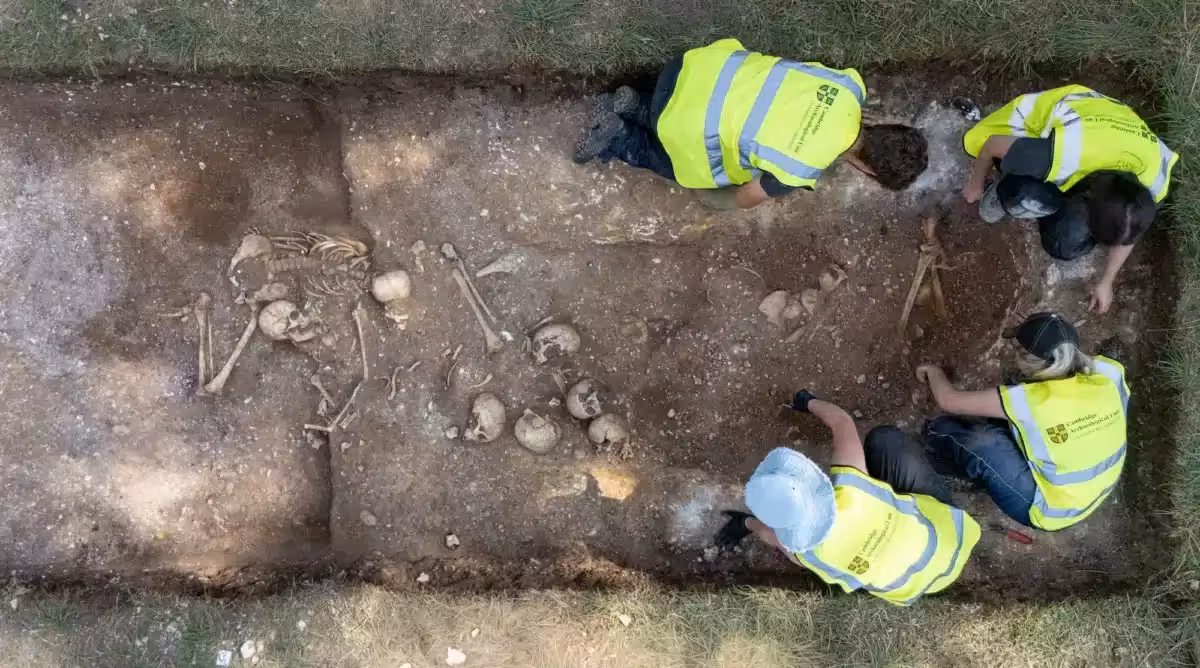 Cambridge Archaeology Students Excavating The Wandlebury Mass Burial Site From Above
