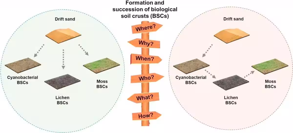Methods To Convert Sand Into Fertile Land
