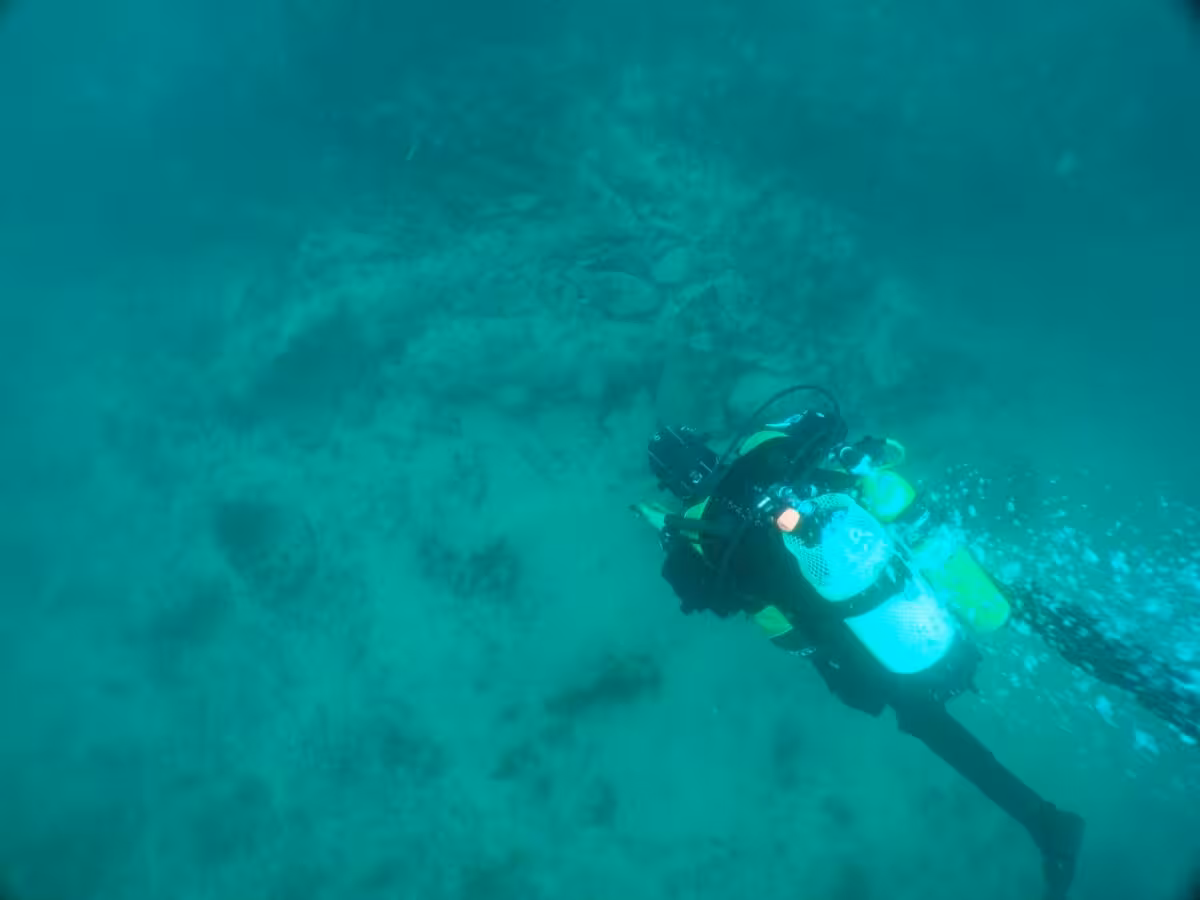 A Diver Above The Wreck Site With Cannons Below On The Sea Bed. Image Maritime Archaeology Sea Trust (mast).