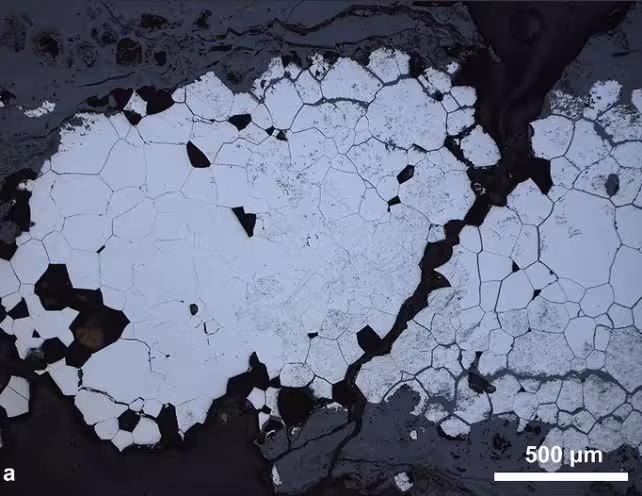 Micrograph