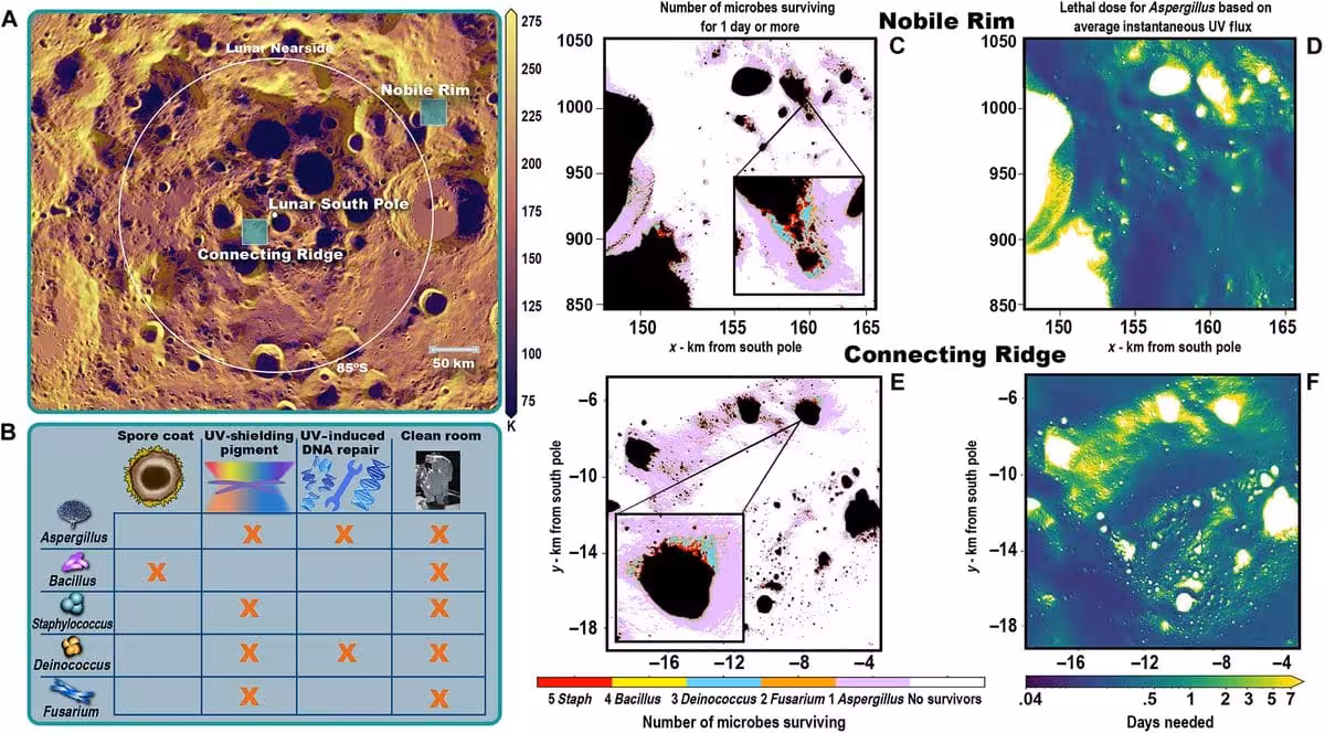 Maps Showing Microbial Survival Potential At Artemis Iii Lunar Landing Sites.
