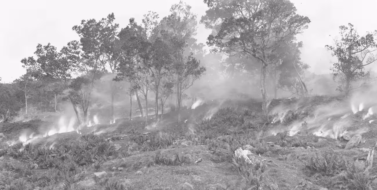 1935 Lava Flow Black and white photo of a molten lava flow steaming and moving through a sparse forest