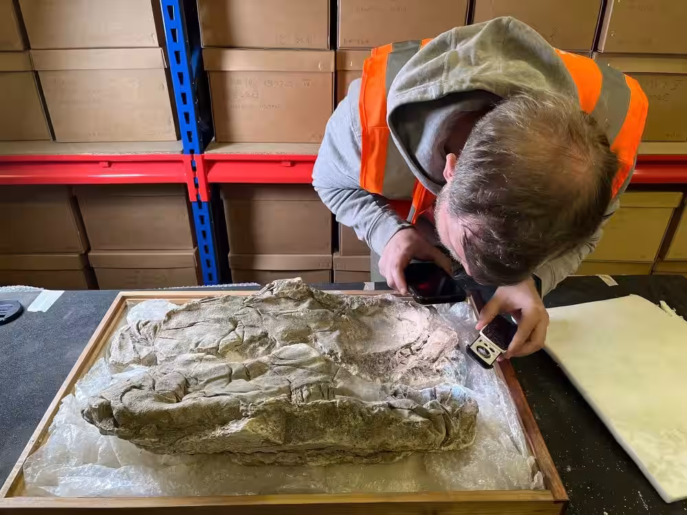 A Preserved Gypsum Brial Revealing Traces Of Ancient Textiles