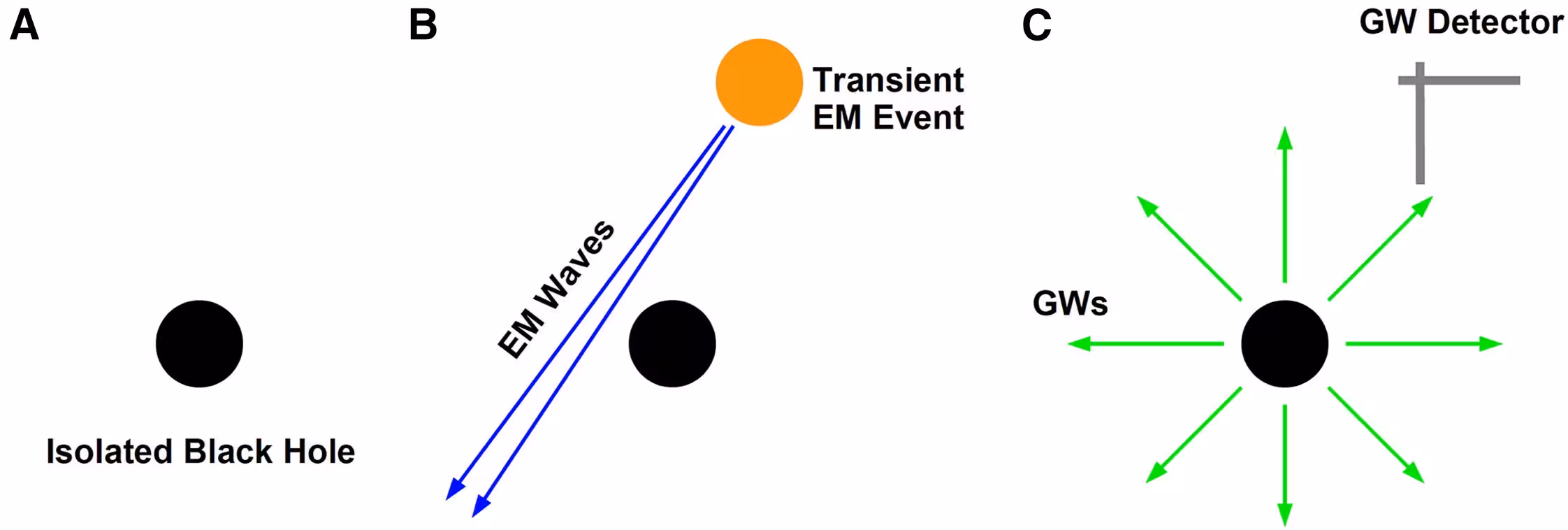 Detection of nearby isolated black holes with gravitational waves. 