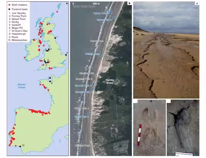 Close Ups And Aerial Views Of Footprints Uncovered By Erosion Along Formby Beach.
