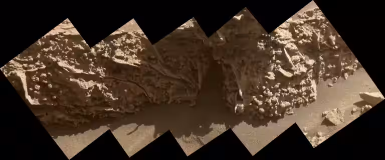 These bumpy nodules were formed by minerals left behind as groundwater was drying out on Mars billions of years ago. NASA’s Curiosity rover captured images of these pea-size features while exploring geologic formations called boxwork on Aug. 21, 2025.
NASA/JPL-Caltech/MSSS