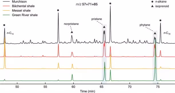 Chromatographic Analysis Comparing Pristane And Phytane Signals In The Murchison Meteorite And Geological Samples.
