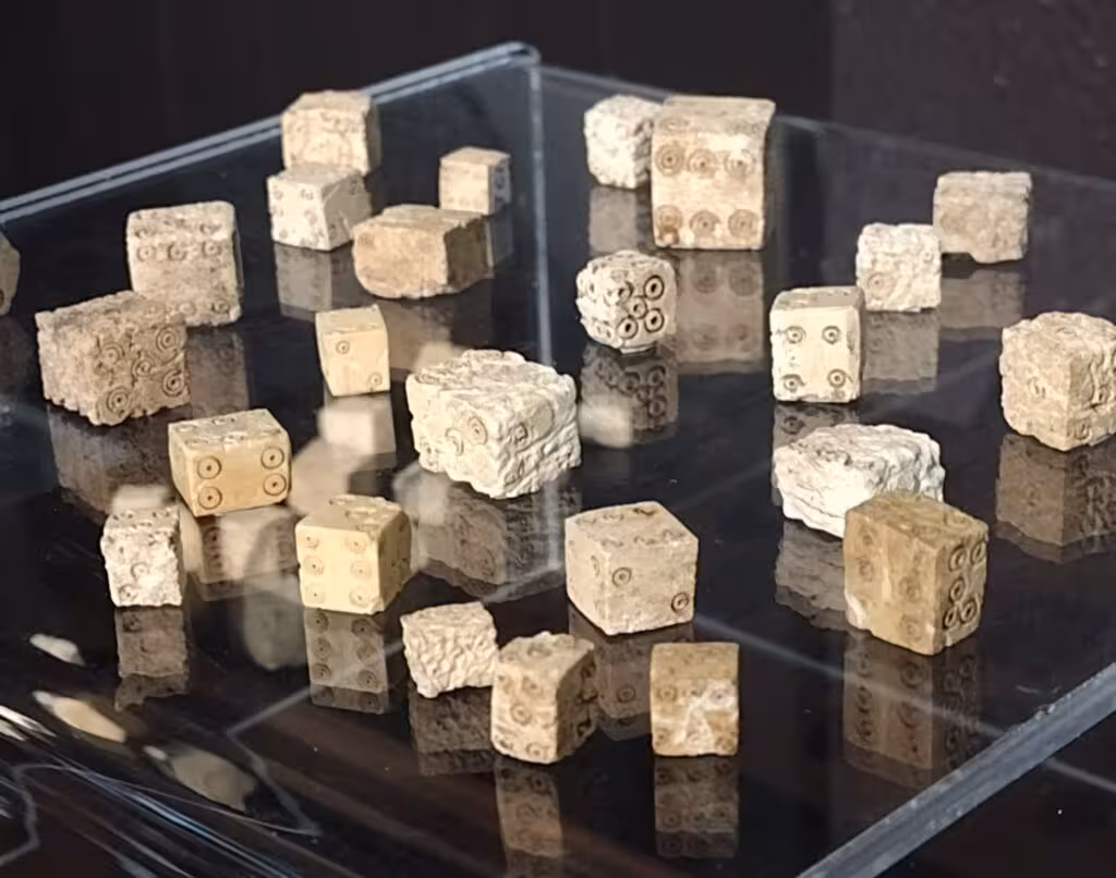 Excavations Have Uncovered More Than 1,000 Dice From A Small Area Near A Roman Building