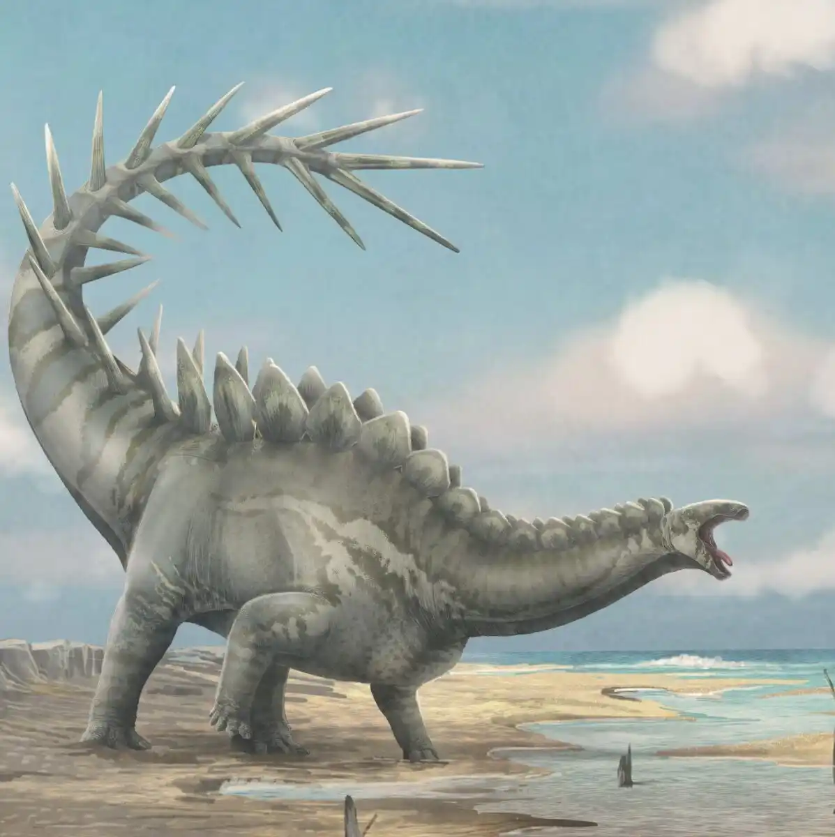 Illustration Of Dacentrurus Armatus