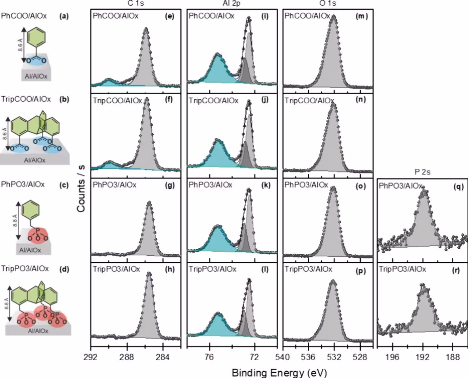 1: Schematics of the PhCOO, TripCOO, PhPO3, and TripPO3 molecules adsorbed on Al/AlO x substrates (a–d), together with the representative XPS data (e–r) for the respective monolayers. In the consecutive columns from left to right, the C 1s (e–h), Al 2p (i–l), O 1s (m–p), and P 2s (q, r) spectra are presented.