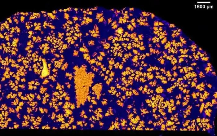 Nwa 12774 Under X Ray Imaging