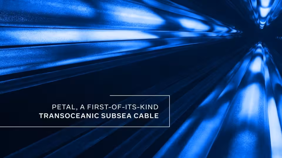 Meta Unveils Petal, A 4,300 Mile Transatlantic Subsea Cable Set To Launch In 2029.