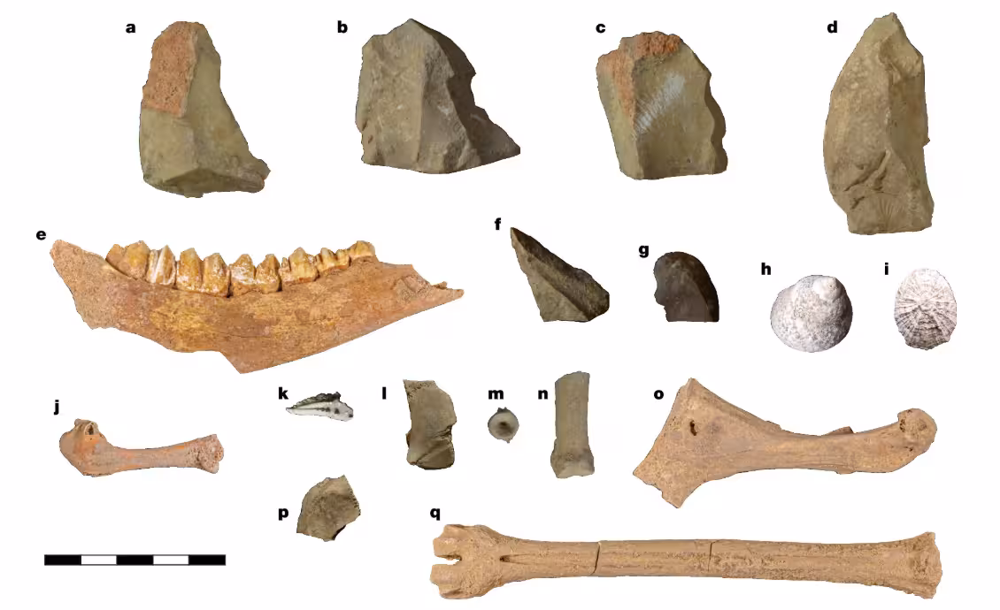 Fauna and lithics from the Mesolithic Horizon