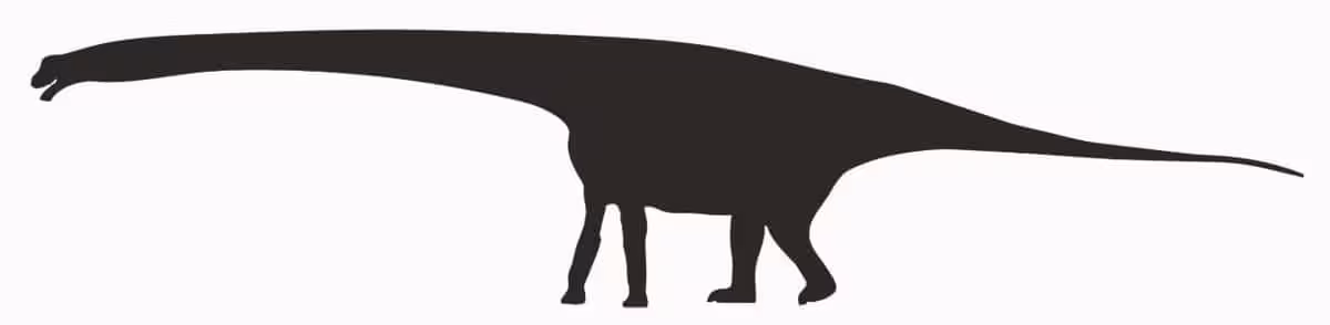 Artist’s Impression Of A Sauropod Dinosaur Believed To Have Left Fossilized Footprints In Minamisoma.