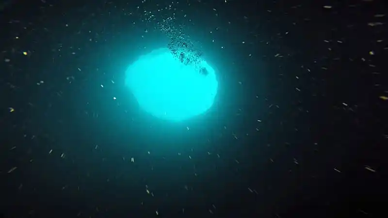 Scientists Embark On Journey To The “deep” To Explore Blue H