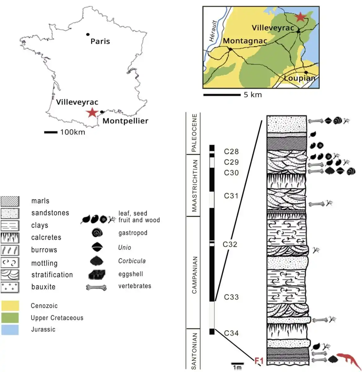 Location And Geological Context Of The Villeveyrac Fossil Site In Southern France.