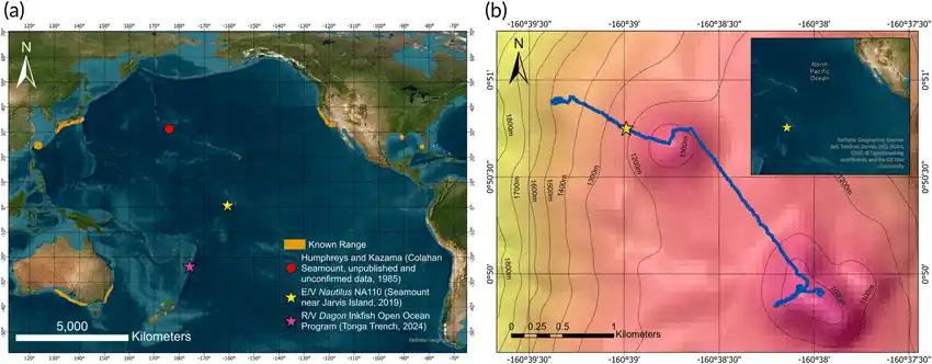 Map Showing The Locations Of The First Published Live Observations Of Goblin Sharks In Their Natural Habitat, Near Jarvis Island And The Tonga Trench.