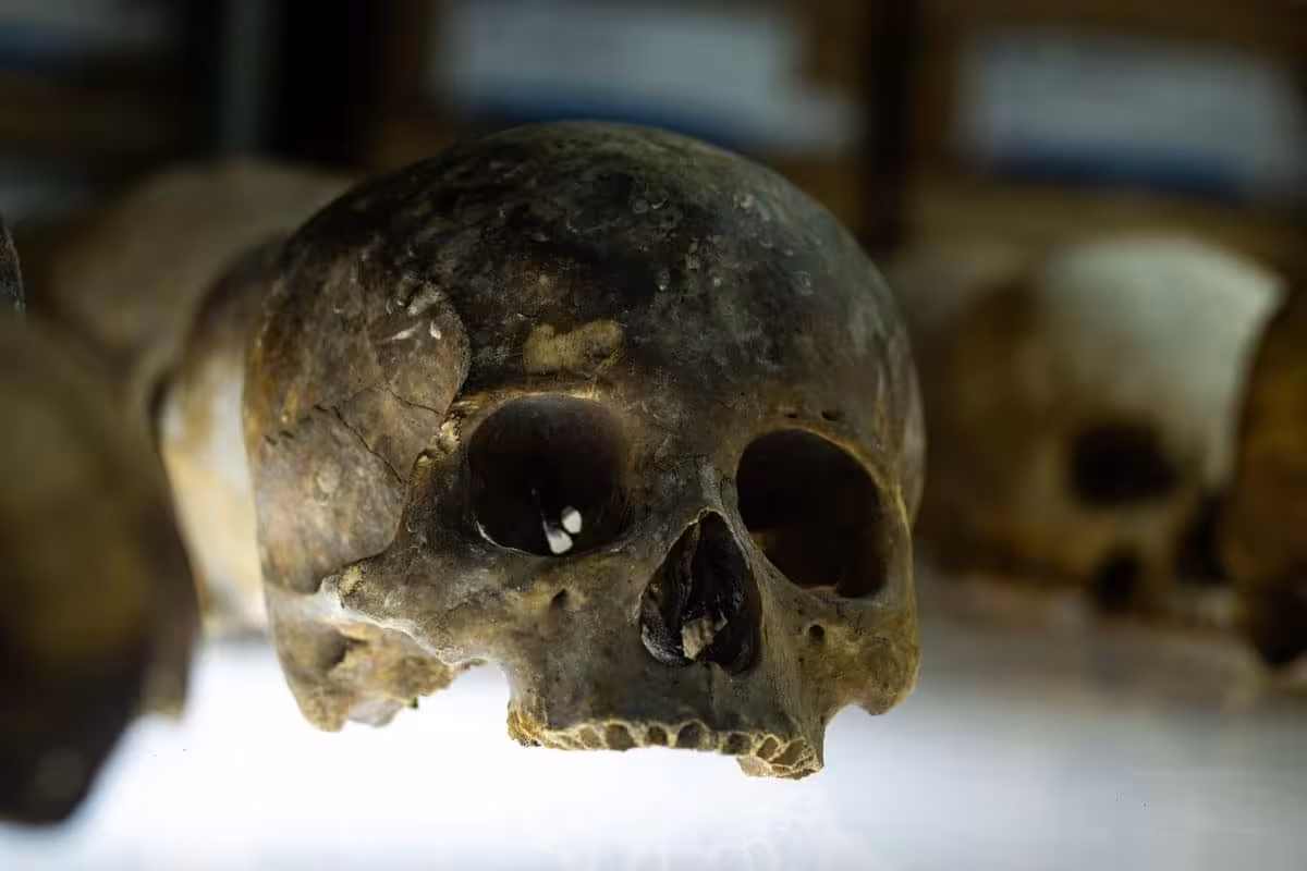 Given The Evidence Of Cooking On The Bones And Soot On The Roof Of The Natural Formation