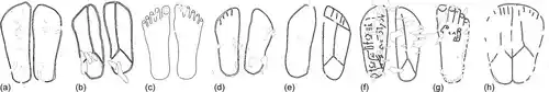 Drawings Of Different Bronze Age Podomorphs Showing Variations In Shape, Size, And Engraved Details.