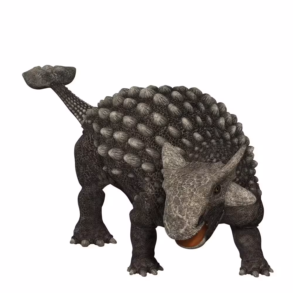 Ankylosaurus Was A Tank Like Dinosaur Covered In Armor That Lived During The Late Cretaceous Period.