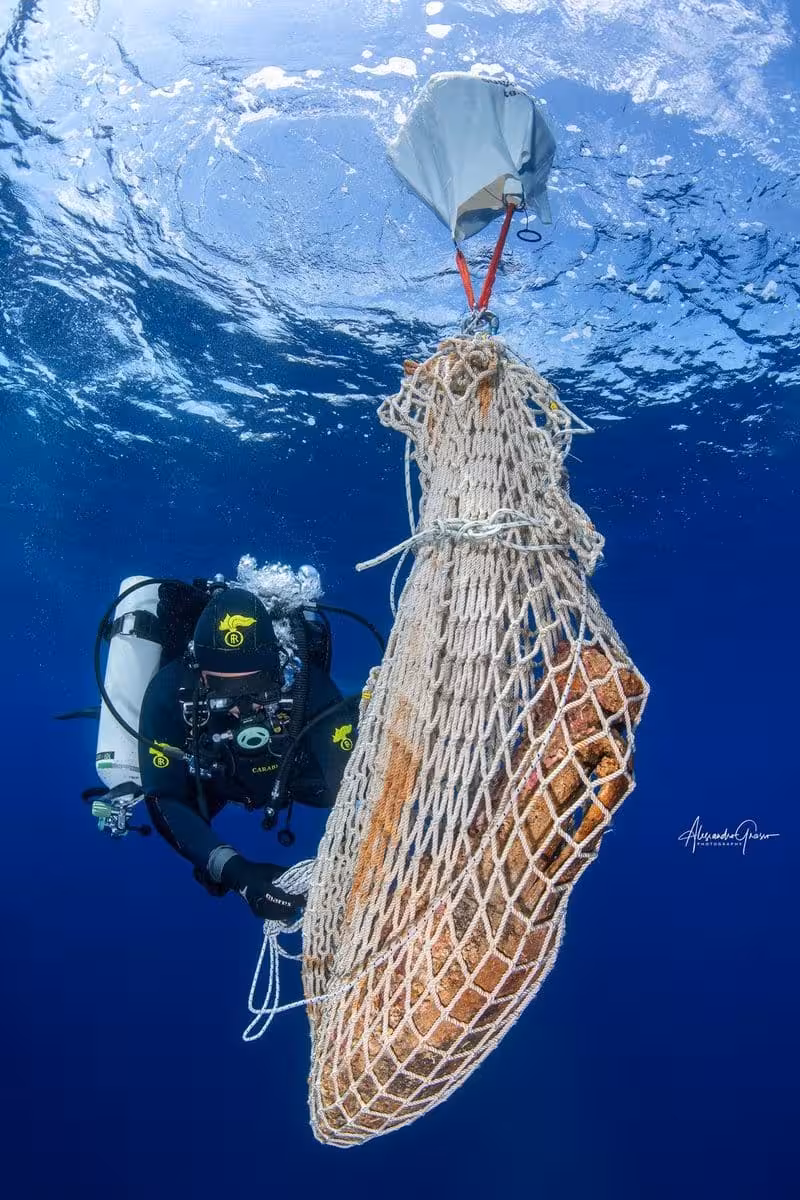 Roman Amphora In A Rope Net Being Lifted Toward The Surface By A Lift Bag