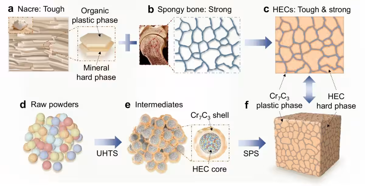 Bio Inspired Structure Of High Entropy Ceramics Combining The Toughness Of Nacre With The Strength Of Spongy Bone.