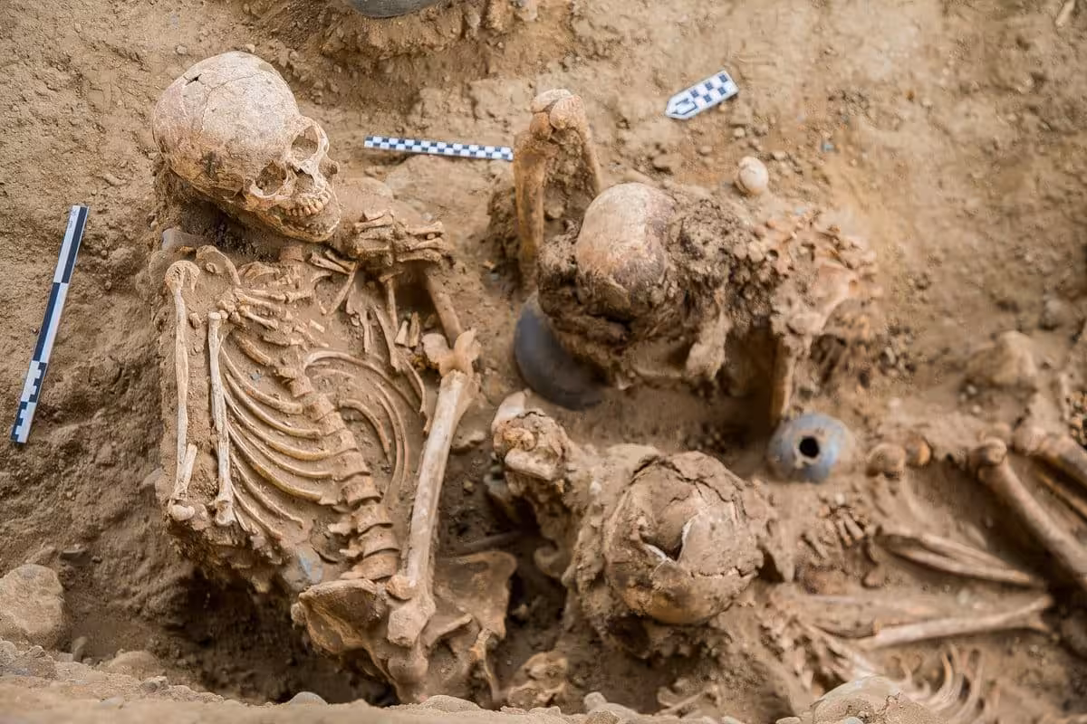 A Close Up View Of Ancient Skeletal Remains At An Excavation Site.