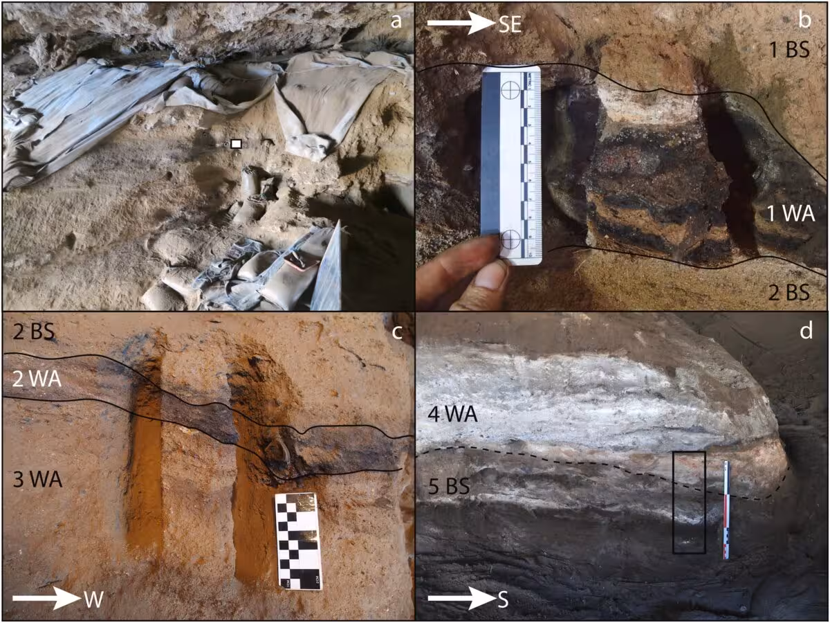 Excavation Layers At Border Cave Where Archaeologists Identified Prehistoric Bedding.