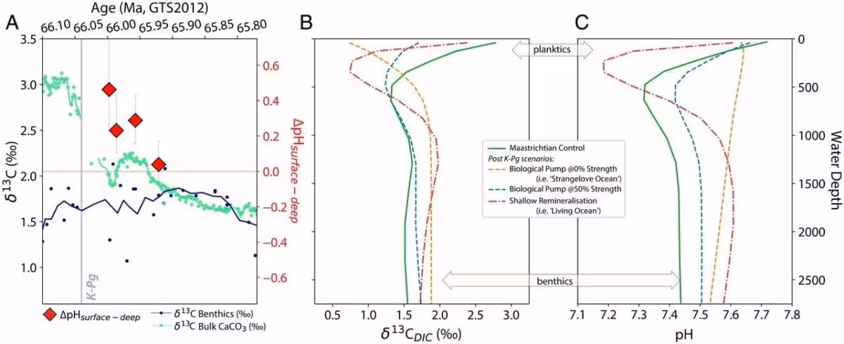 These Graphs Show How The Chicxulub Asteroid Threw Earth's Oceans Out Of Balance, Changing Their Chemistry And Disrupting The Carbon Cycle.