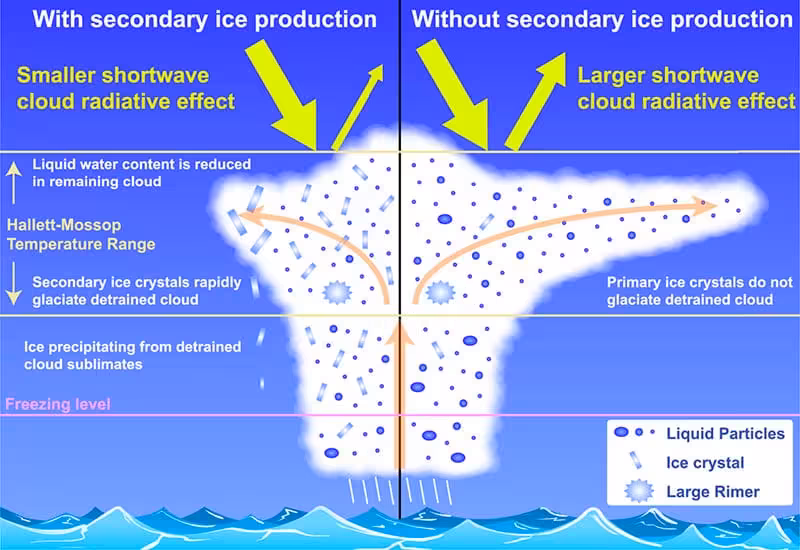 The Diagram Compares How Secondary Ice Production Changes Cloud Structure And Affects Their Impact On Sunlight.