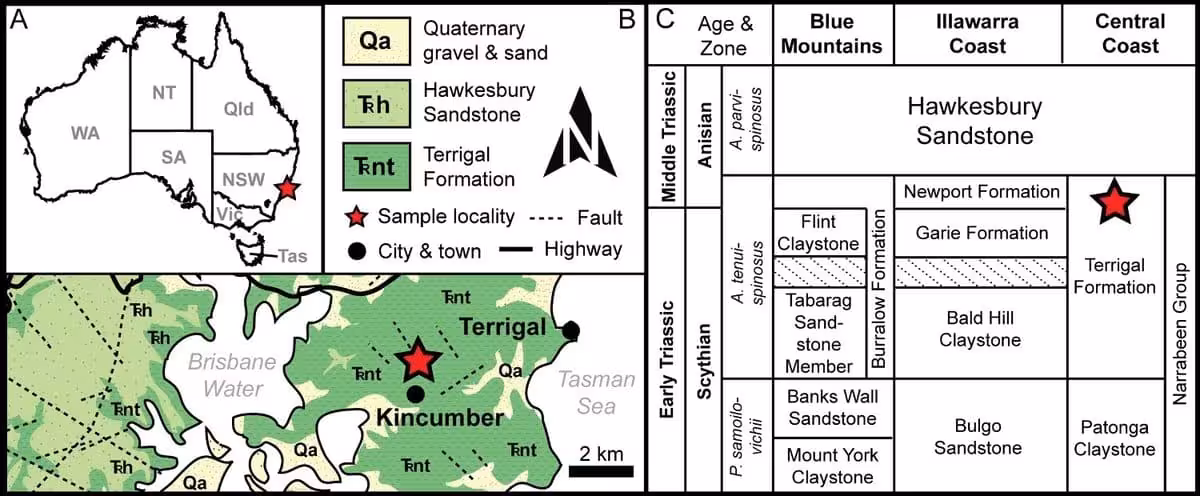 Location And Geological Setting Of The Arenaerpeton Supinatus Fossil Discovery.