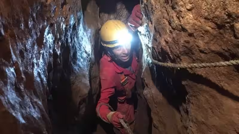 Excavations At Heaning Wood Bone Cave Began Under Martin Stables In July 2016