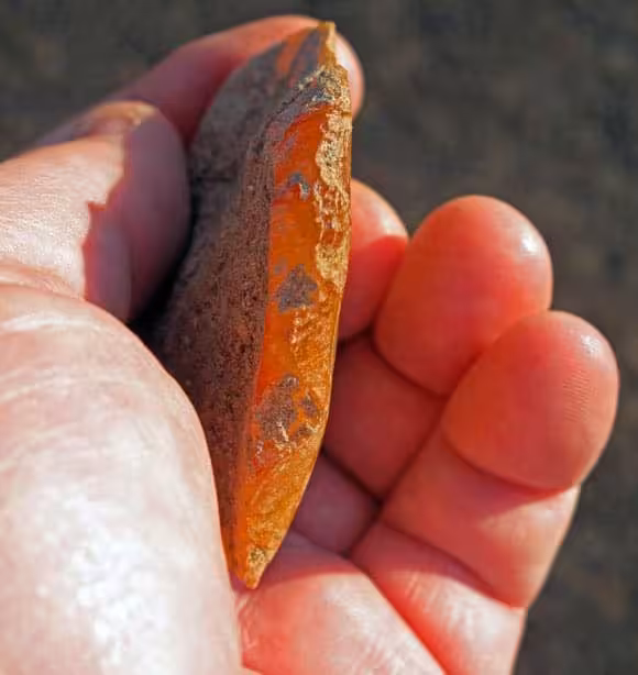 Agate Flake Tool Discovered Beneath Volcanic Ash Layers At The Rimrock Draw Rockshelter In Riley, Oregon.