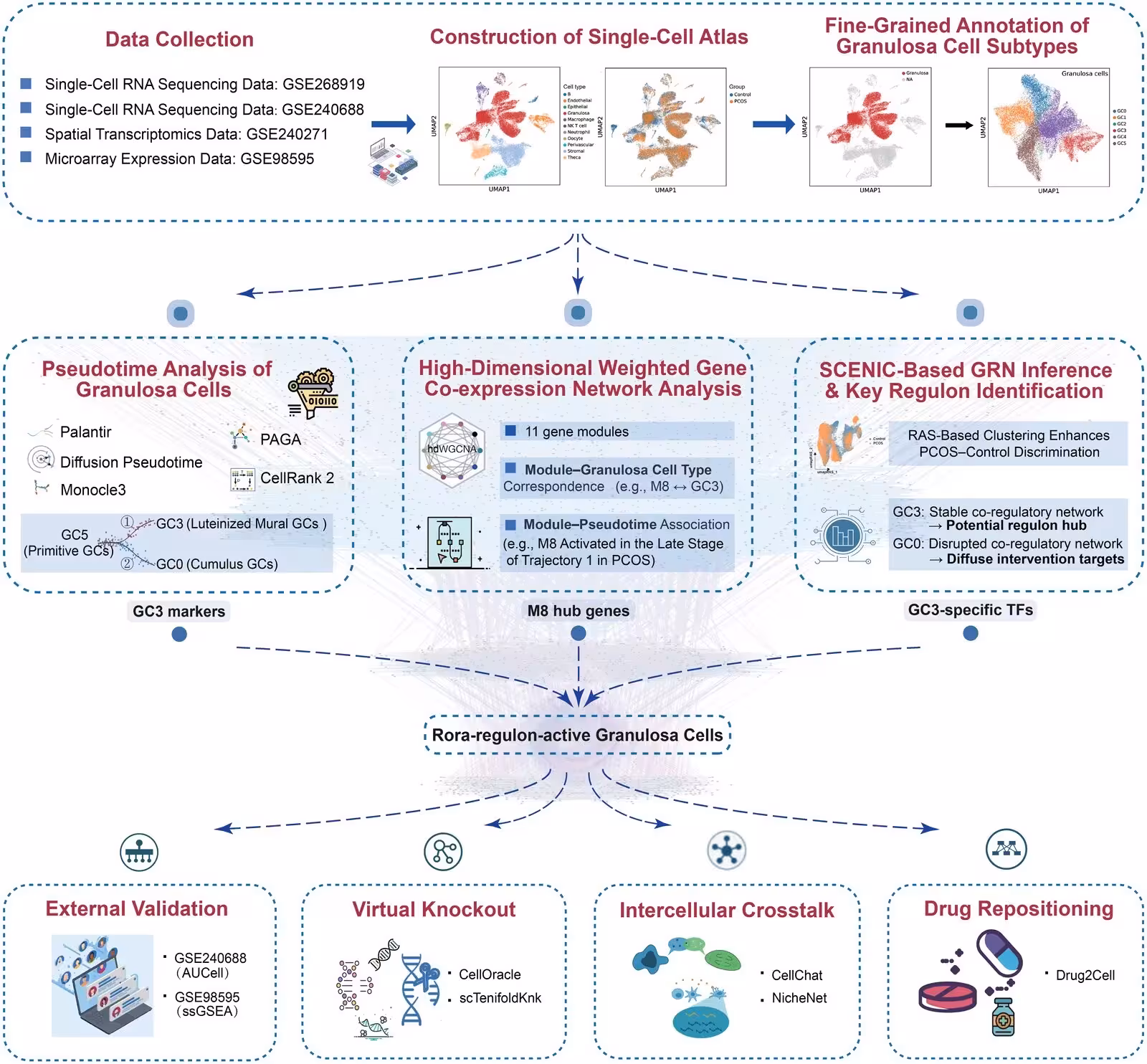 Figure 1: The flowchart of this study.