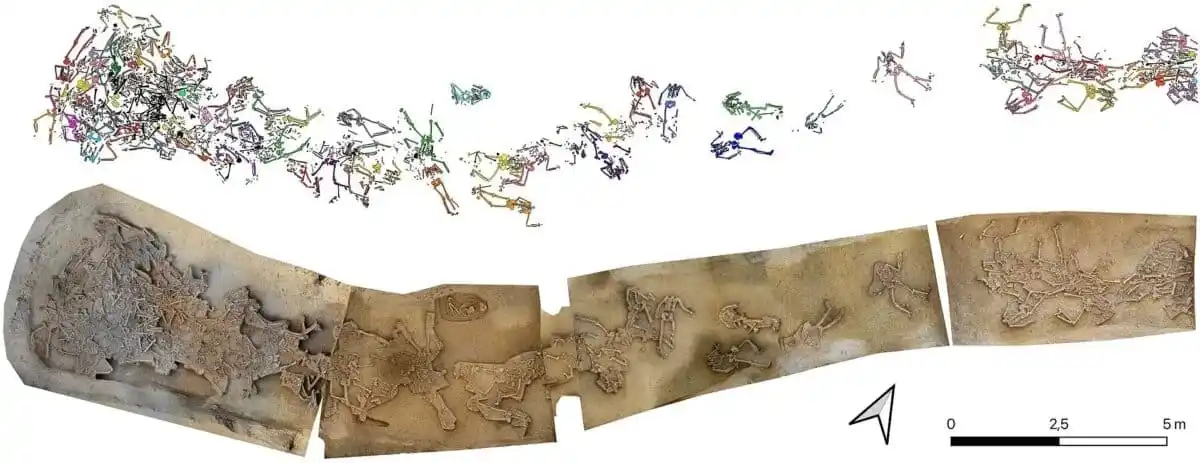 Color Coded Tracing Of Skeletons Found In The Ditch Near The Settlement Entrance.