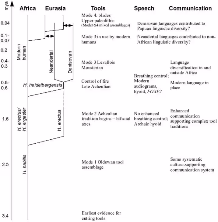 A Timeline Of Human Evolution Suggesting That Language May Predate Modern Humans By Hundreds Of Thousands Of Years.