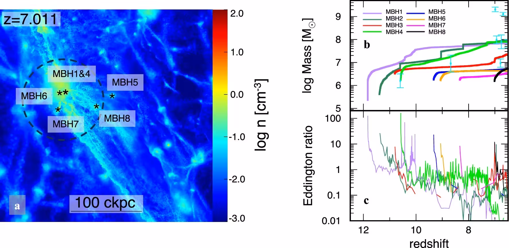 Spatial distribution of BHs in the zoom-in simulation of the later DCBH formation scenario.