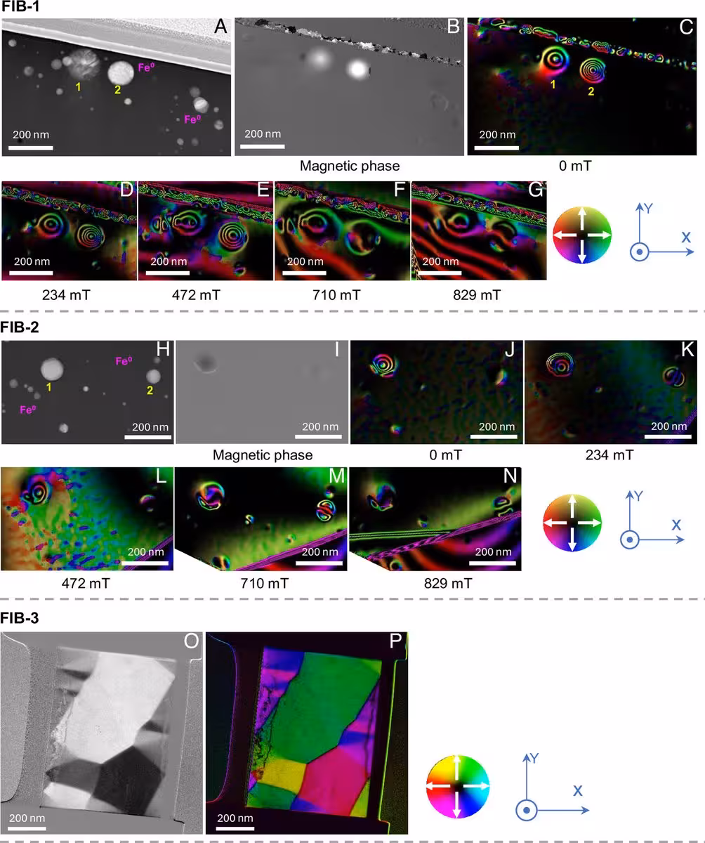 Pnas.2608395123fig03
