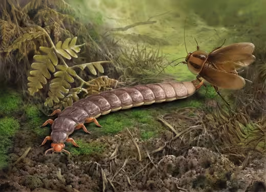 An Artist's Impression Of Sinojapyx Giganteus, A Prehistoric Six Legged Predator.