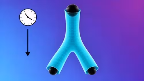 If rotating black holes  did split, the black hole's outer boundary, known as the horizon, would form a trouser-like shape through time: one section dividing into two “legs”. This explains the study's unusual term “pair-of-pants topologies”.